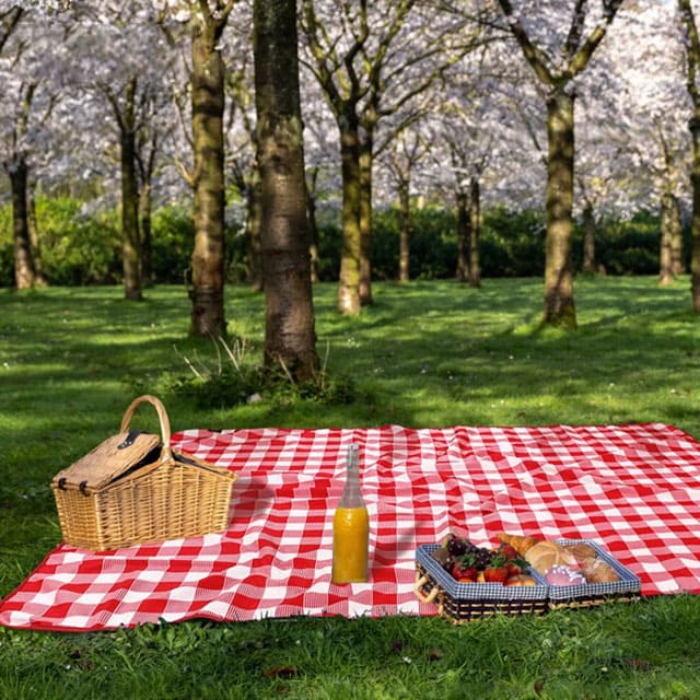 Outdoor Windproof Extra Large Lightweight Blanket