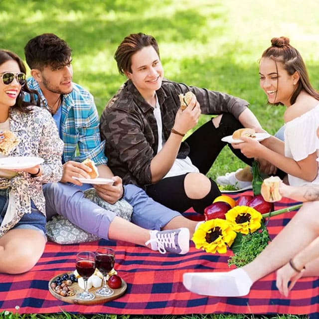 Portable Waterproof Picnic Mat
