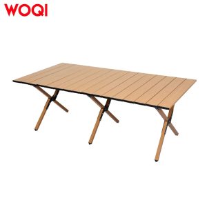 Folding Camping Table with Carry Bag