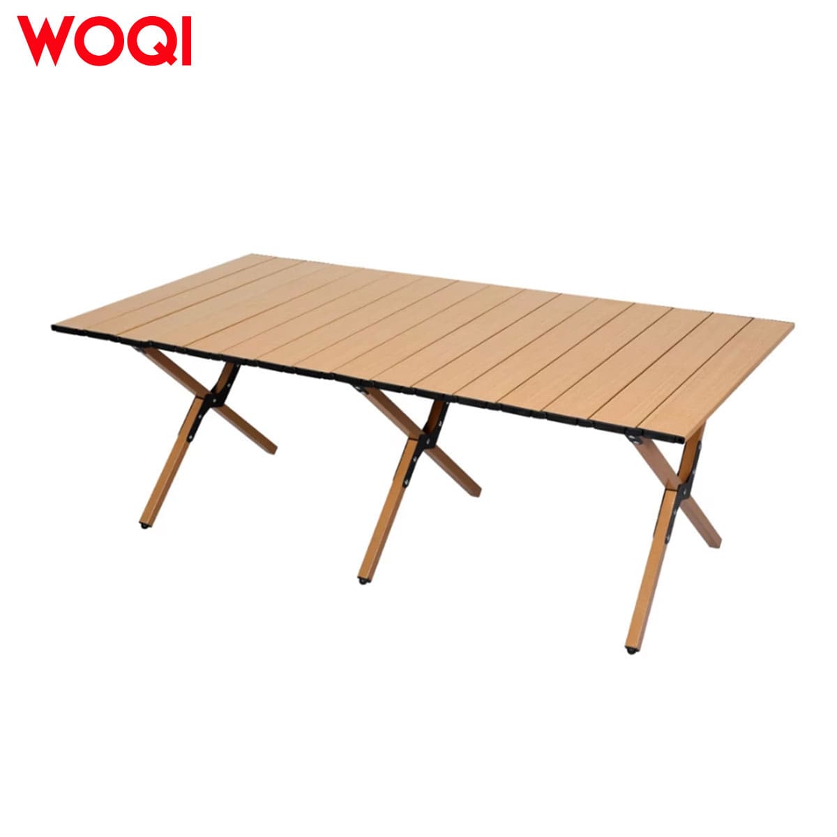 Folding Camping Table with Carry Bag